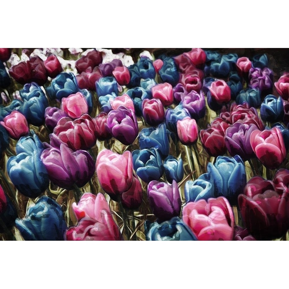 Colorful Tulips Poster Print by Mlli Villa-VARPDXMVRC137A Image 1