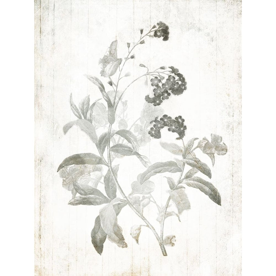 Soft Flowers On Wood Mate Poster Print by Mlli Villa-VARPDXMVRC338B Image 1