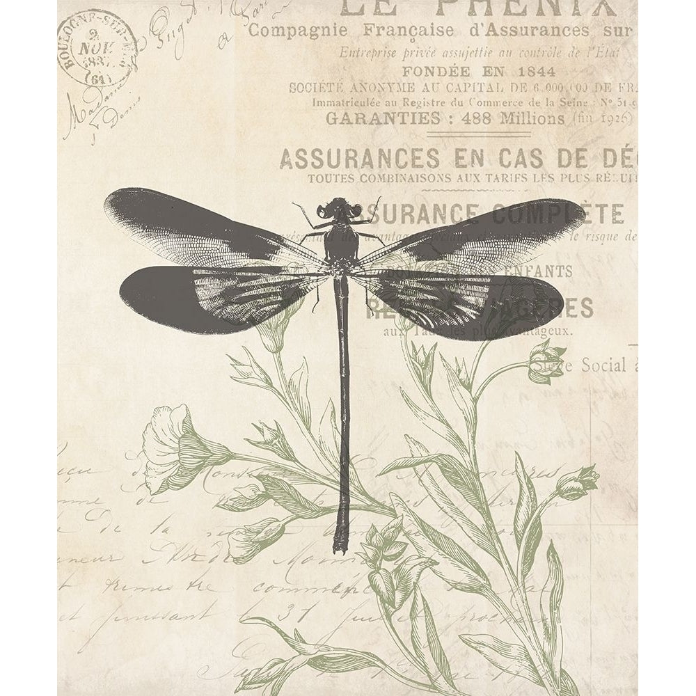 Lightened Vintage Insects Poster Print by Mlli Villa-VARPDXMVRC411A Image 1