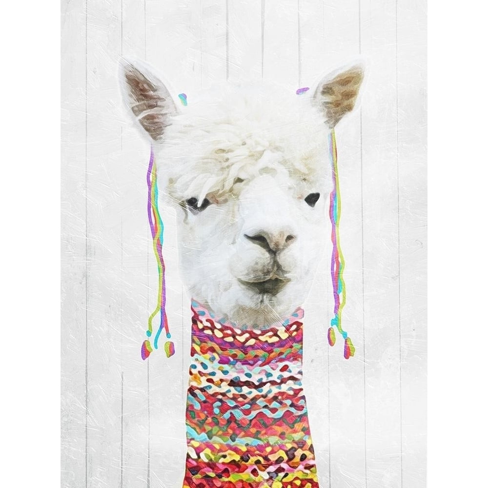 Dressed Llama Poster Print by Mlli Villa-VARPDXMVRC431A Image 1