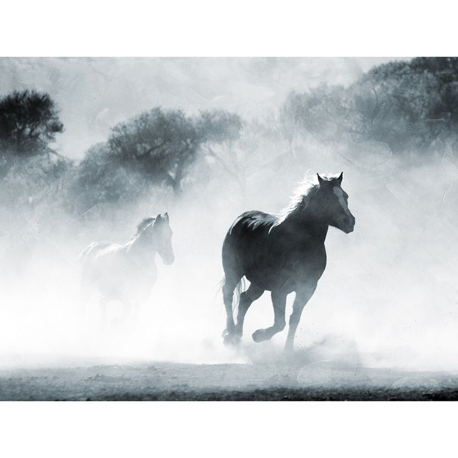 Running Horses 2 Poster Print by Milli Villa-VARPDXMVRC619B Image 1