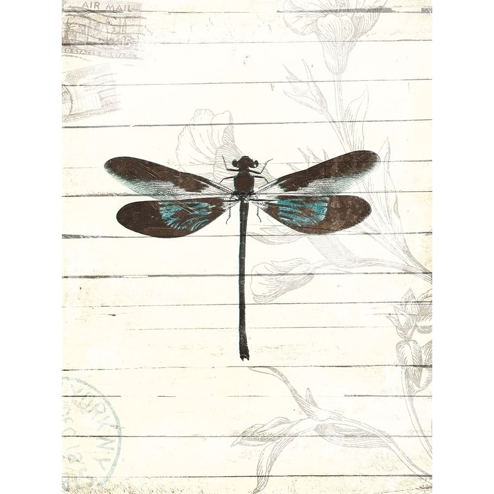 Dragonfly Look 2 Poster Print by Milli Villa-VARPDXMVRC628B Image 1