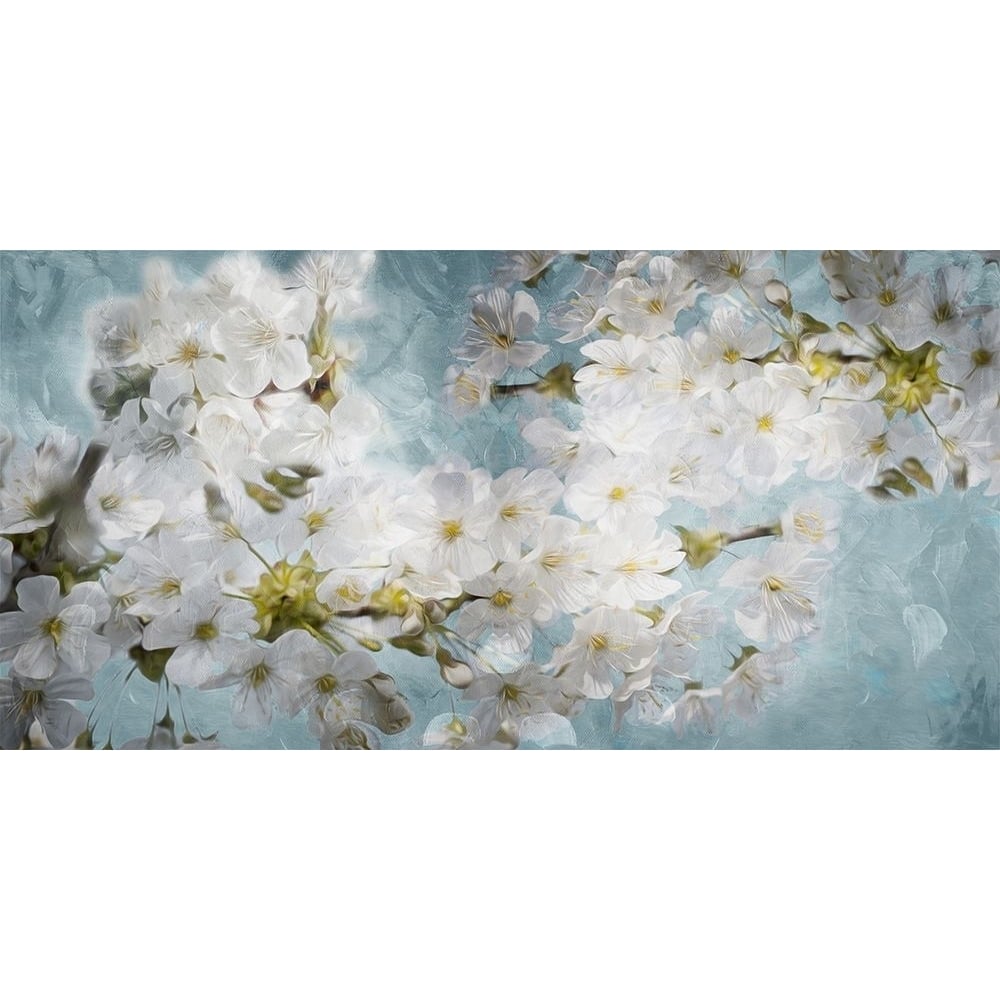 More White Flowers In Blue Poster Print by Mlli Villa-VARPDXMVRN024B Image 1