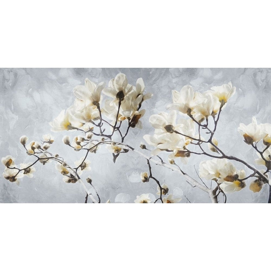 White Flowers In Grey Poster Print by Mlli Villa-VARPDXMVRN024A2 Image 1