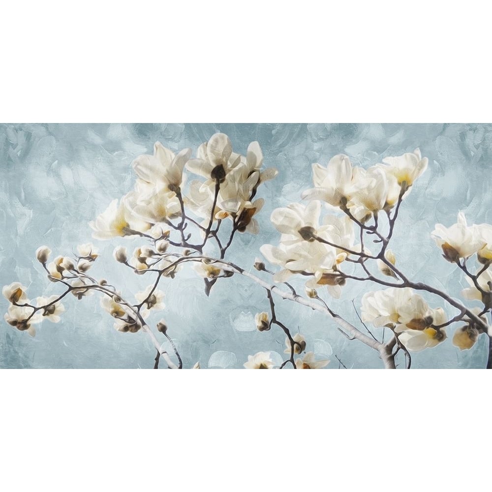 White Flowers In Blue Poster Print by Mlli Villa-VARPDXMVRN024A Image 1