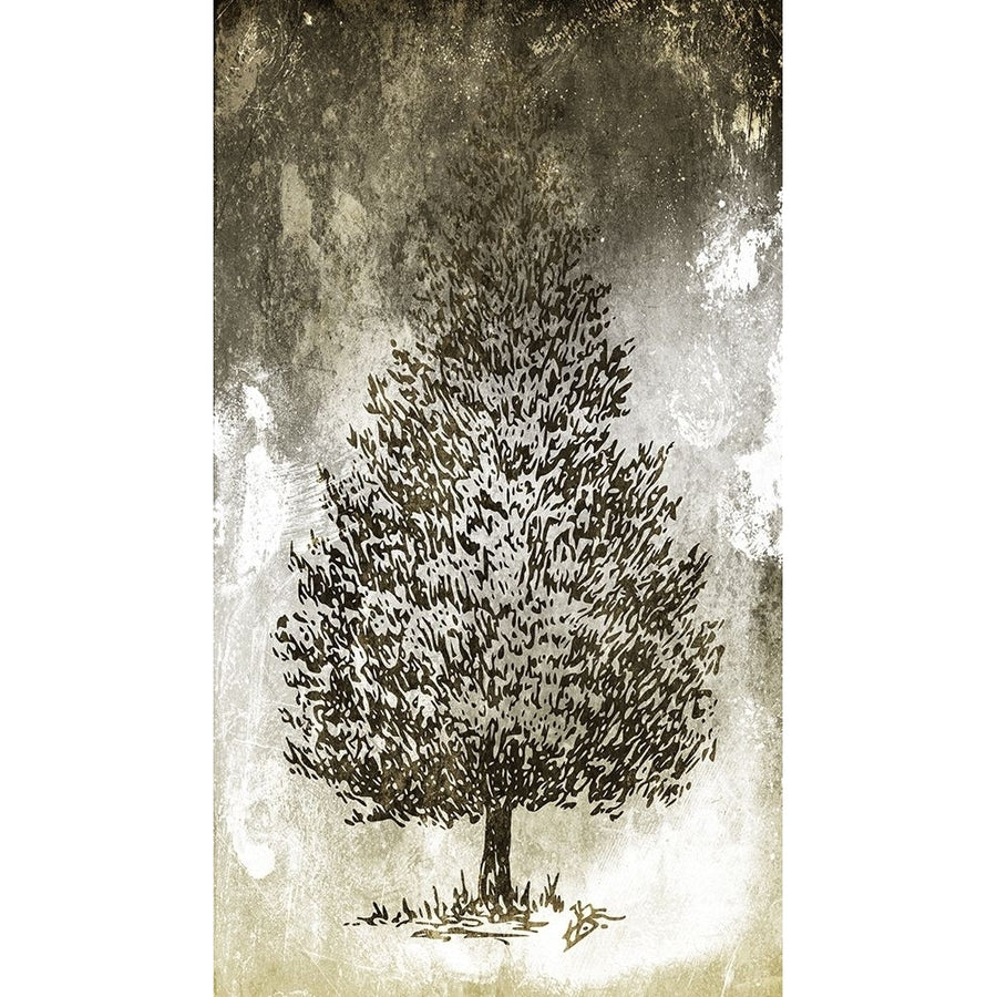 Tree In The Gloom 4 Poster Print by Milli Villa-VARPDXMVRN129D Image 1