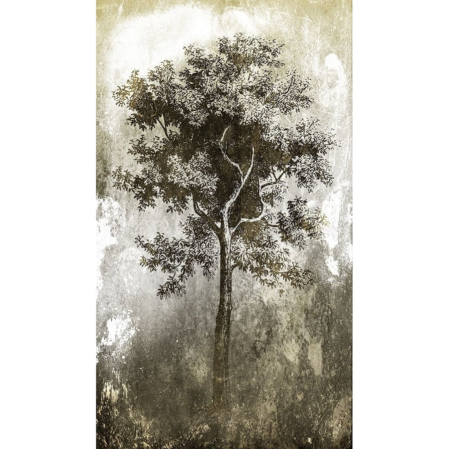 Tree In The Gloom Poster Print by Milli Villa-VARPDXMVRN129A Image 1