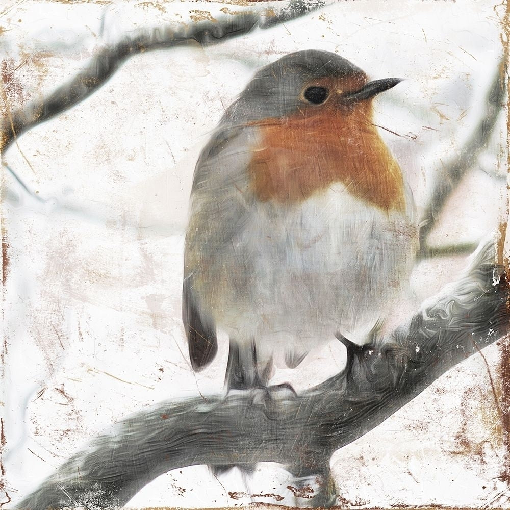 Cold Bird Poster Print by Mlli Villa-VARPDXMVSQ088A Image 1