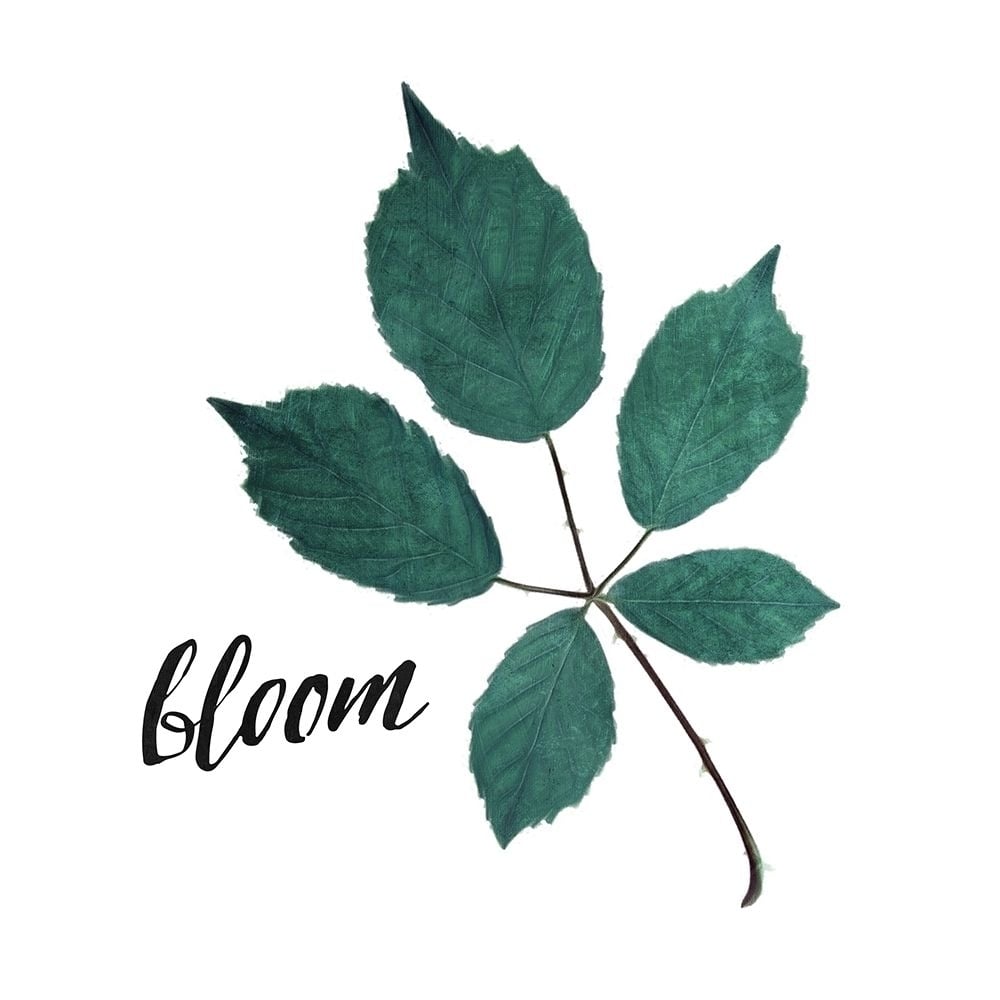 Bloom Leaves Poster Print by Mlli Villa-VARPDXMVSQ406A Image 1