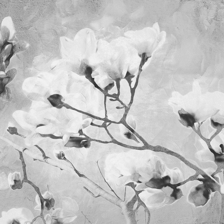 Tree of White Flowers BW 2 Poster Print by Milli Villa-VARPDXMVSQ502B Image 1