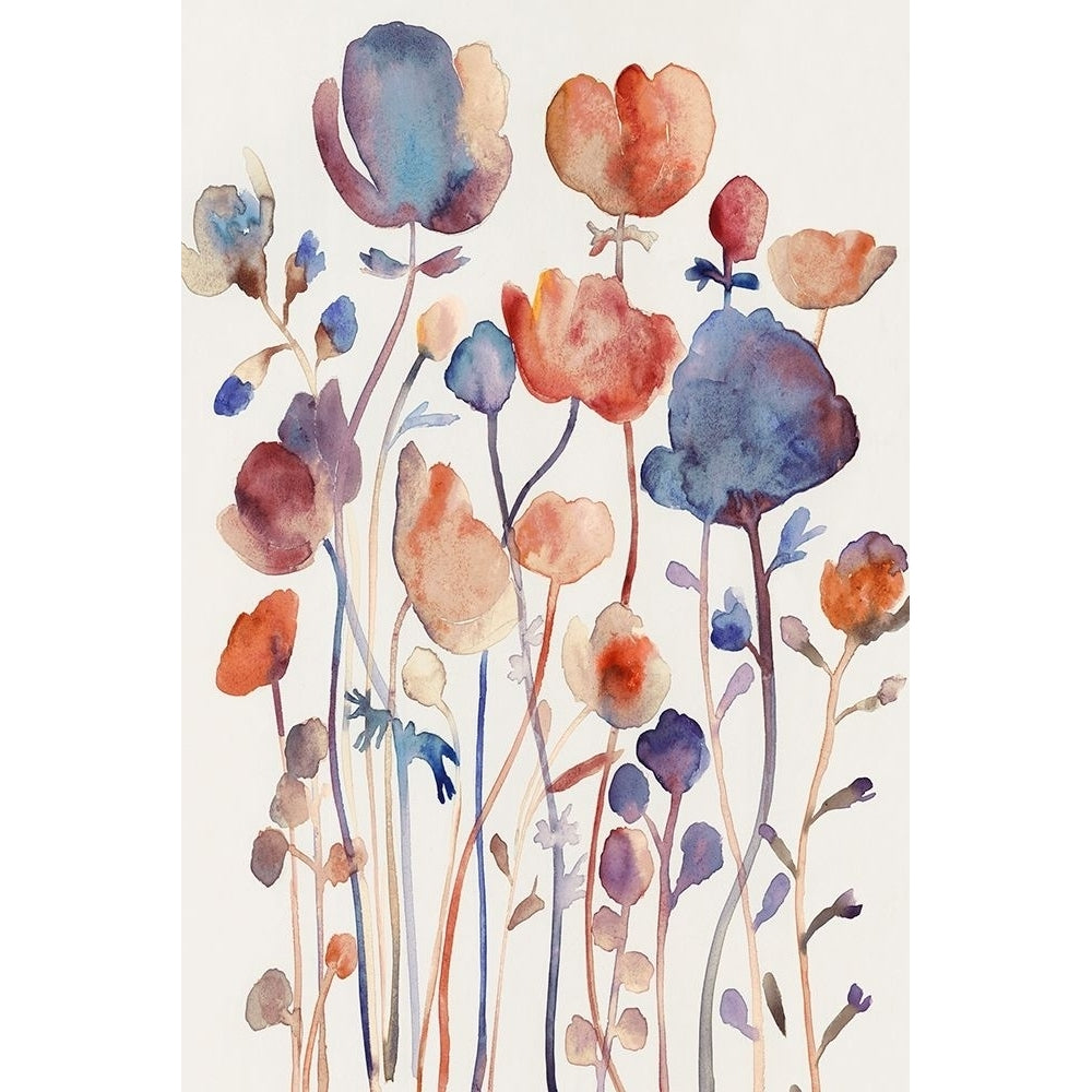 Wild Flowers II Poster Print by Maya Woods-VARPDXMW088A Image 1