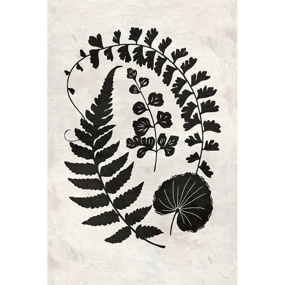 Botanica 2 Poster Print - Suzanne Nicoll-VARPDXN568D Image 1