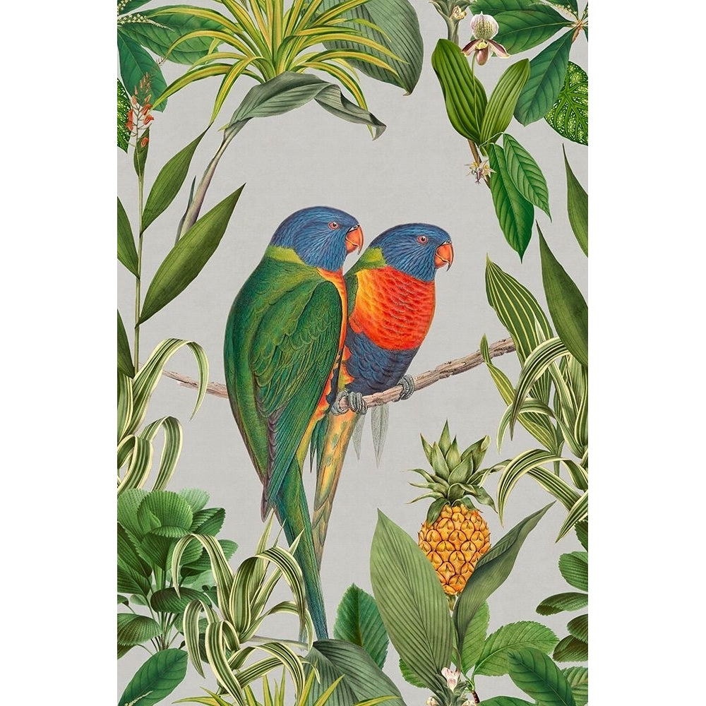 Parakeets Tropical Garden I Poster Print - Andrea Haase-VARPDXNH072A Image 1