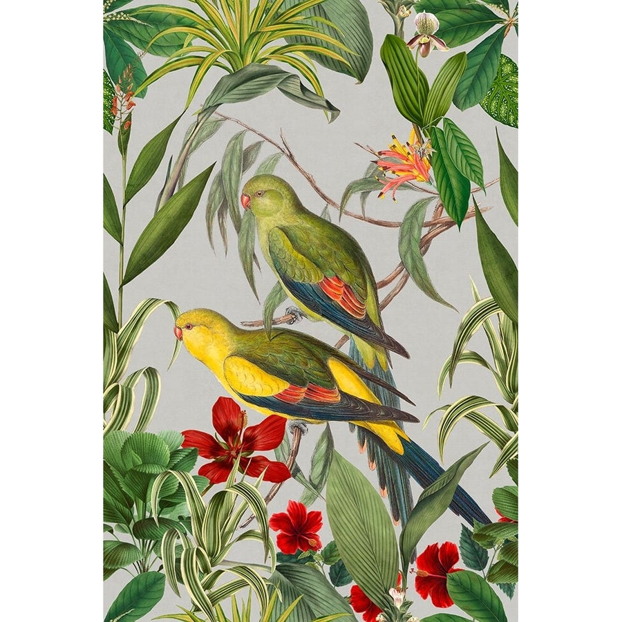 Parakeets Tropical Garden II Poster Print - Andrea Haase-VARPDXNH073A Image 1