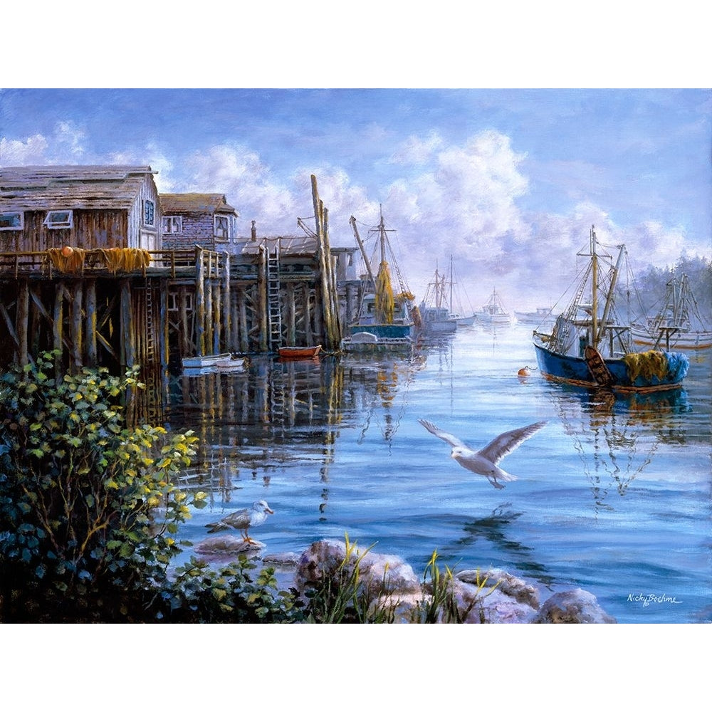 Bird Eye View Poster Print - Nicky Boehme-VARPDXNICBOE78120 Image 1