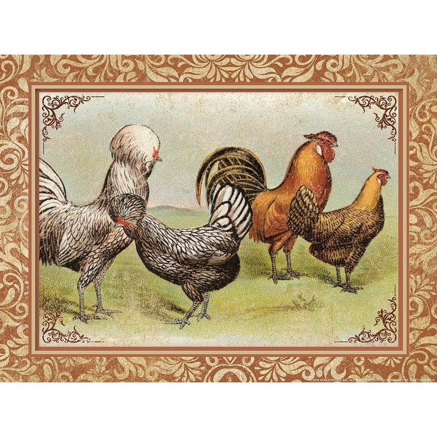 Chicken 3 Poster Print by Inc. Nobleworks-VARPDXNOB16 Image 1