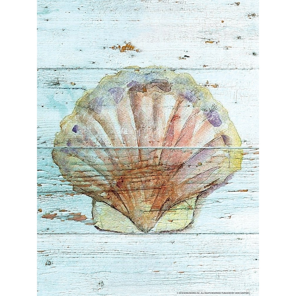 Seashell 1 Poster Print by Inc. Nobleworks-VARPDXNOB190 Image 1