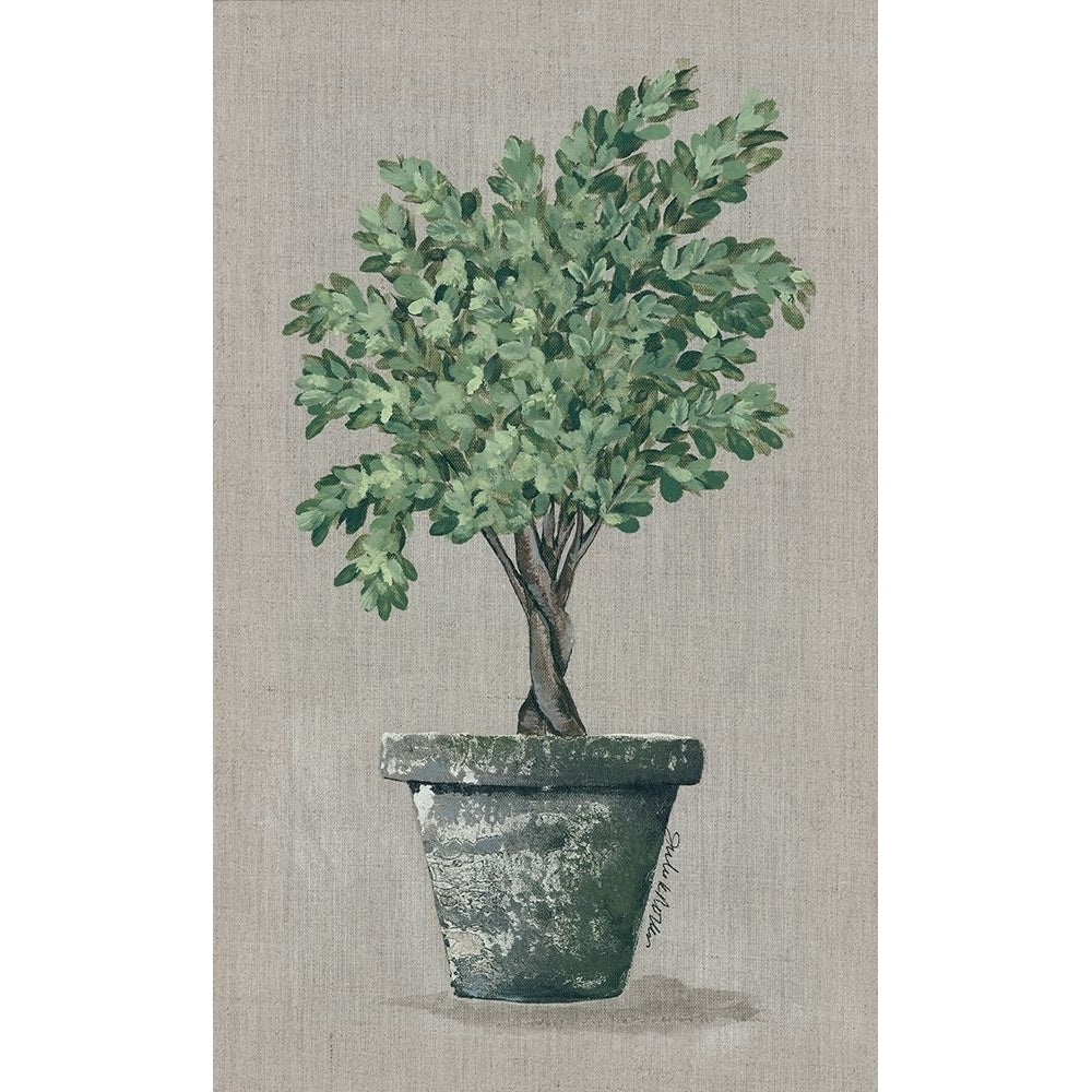 Asymmetrical Topiary Poster Print by Julie Norkus-VARPDXNOR146 Image 1