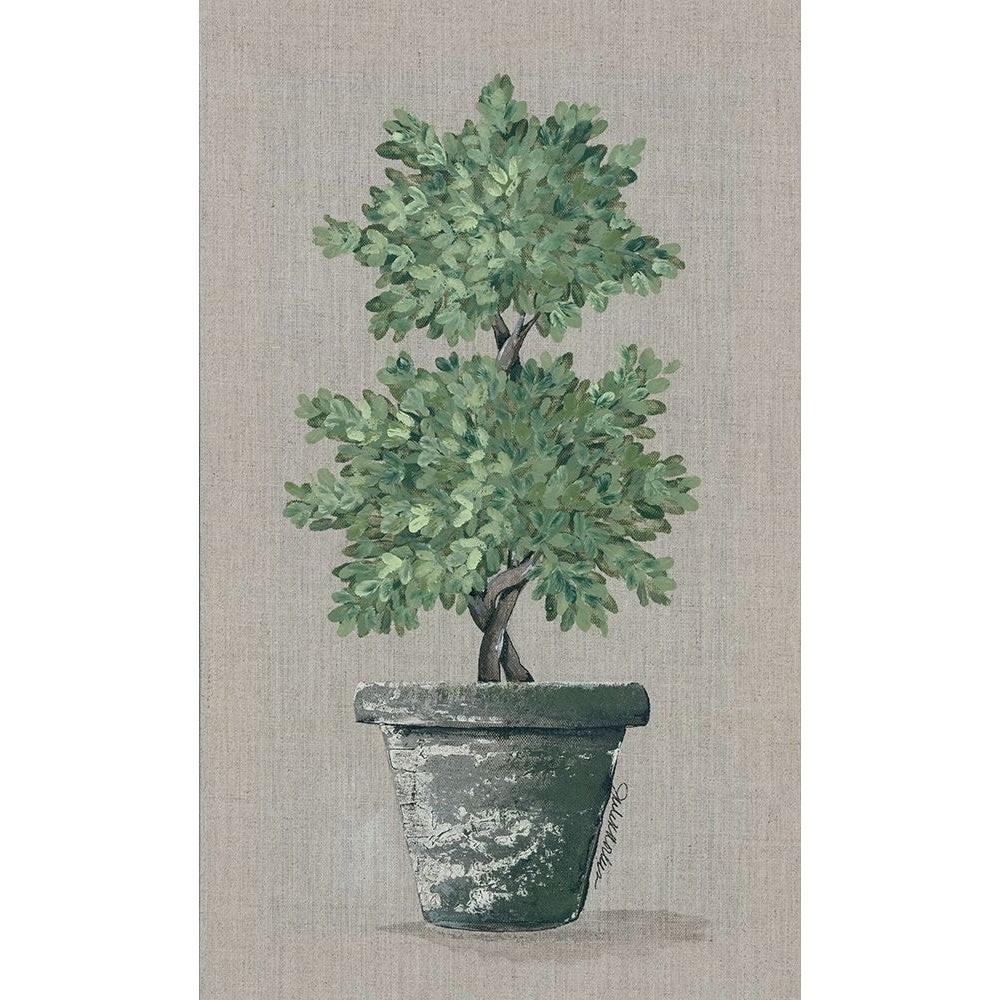 Double Topiary Poster Print by Julie Norkus-VARPDXNOR147 Image 1