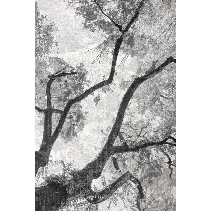 Gloomy Branches Poster Print by Norm Stelfox-VARPDXNR540A Image 1