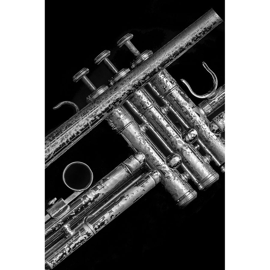 Silver Trumpet Poster Print - Norm Stelfox-VARPDXNR696A Image 1