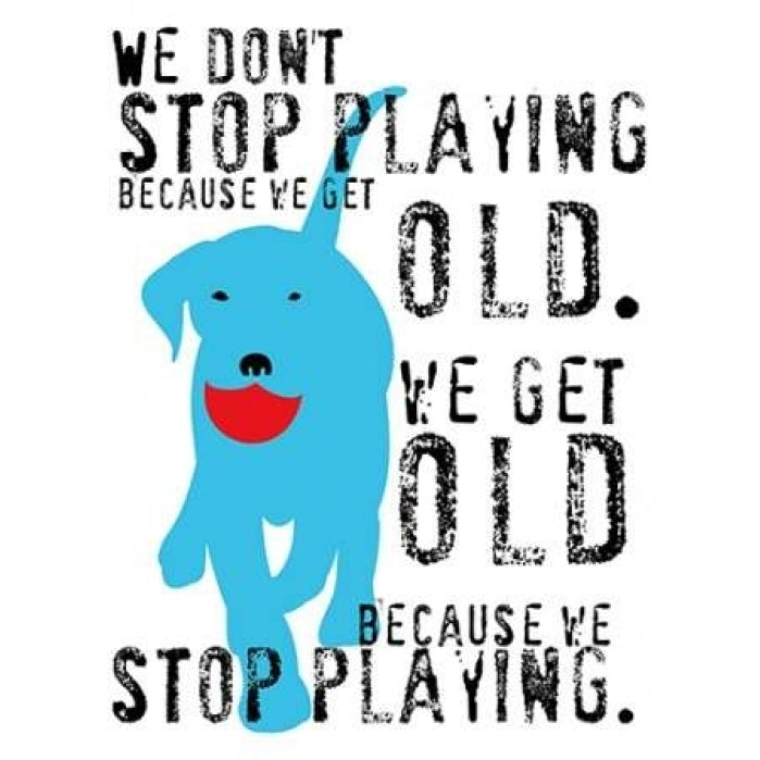 Dont Stop Playing Poster Print by Ginger Oliphant-VARPDXO130D Image 2