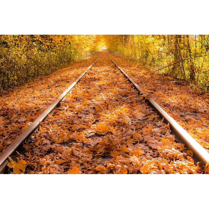 Train Tracks In The Fall Poster Print by Tim Oldford-VARPDXO306D Image 1