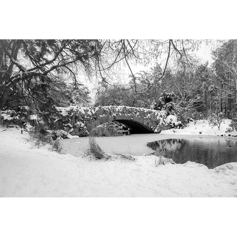 Stone Bridge Poster Print by Tim Oldford-VARPDXO342D Image 1