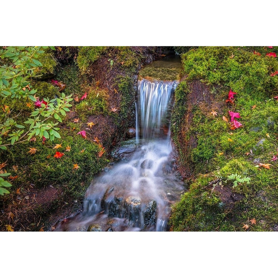 Tranquility Falls Poster Print by Tim Oldford-VARPDXO396D Image 1