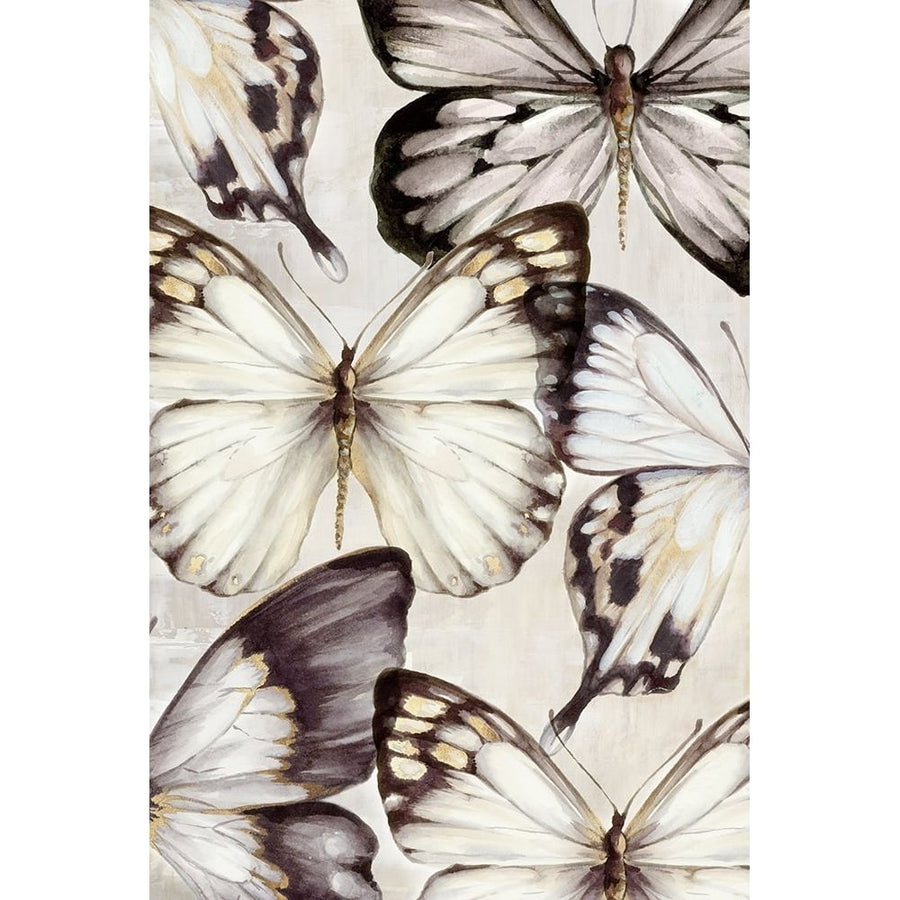 Cluster of Butterflies Poster Print - Eli Jones-VARPDXOE035A Image 1