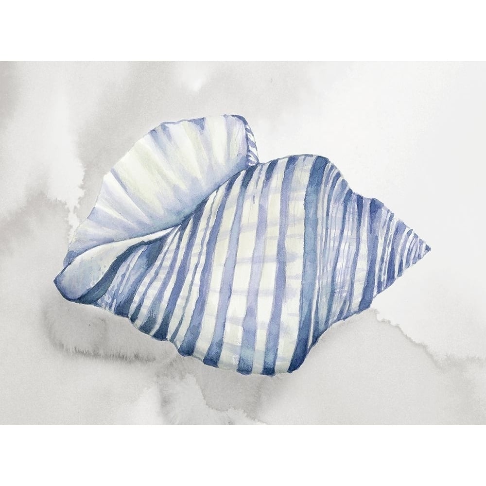 Soft Blue Shell I Poster Print - Eli Jones-VARPDXOE020A Image 1