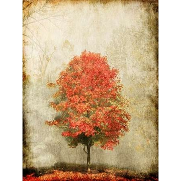 Fire Tree Poster Print by OnRei OnRei-VARPDXONRC120A2 Image 1