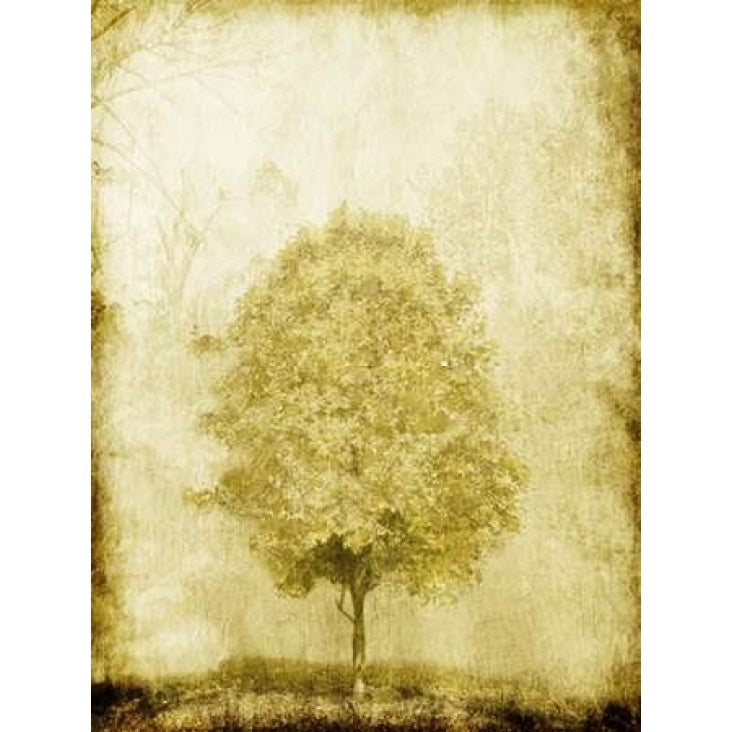 Golden Tree Poster Print by OnRei OnRei-VARPDXONRC120A Image 2