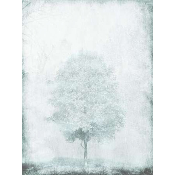 Snow Tree Poster Print by OnRei OnRei-VARPDXONRC120A4 Image 2