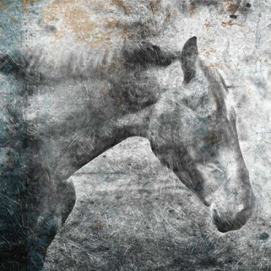 Horse Kiss Poster Print by OnRei-VARPDXONSQ109A Image 1