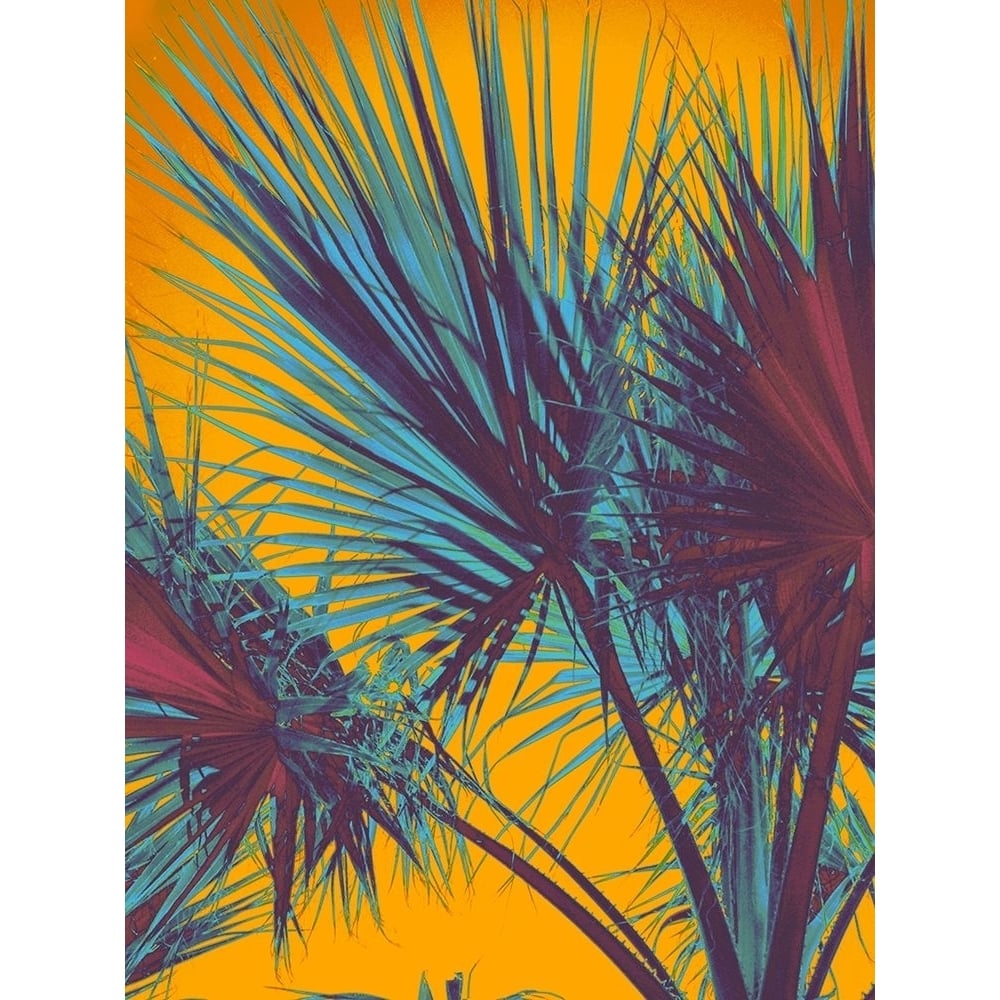 Palms Shadows Poster Print by Irena Orlov-VARPDXOR048A Image 1