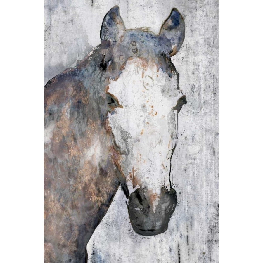 Horse Portrait I Poster Print by Irena Orlov-VARPDXOR320A Image 1