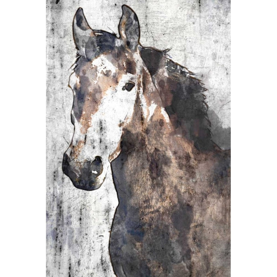 Horse Portrait II Poster Print by Irena Orlov-VARPDXOR321A Image 1