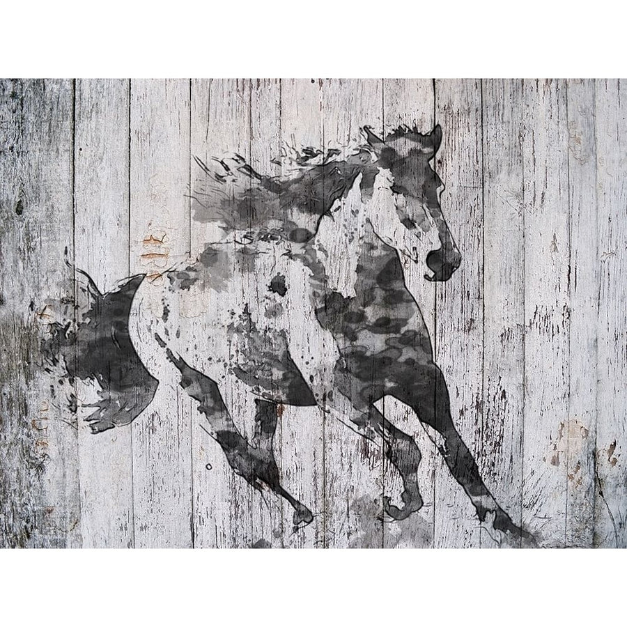 Running Black Horse Poster Print by Irena Orlov-VARPDXOR345A Image 1