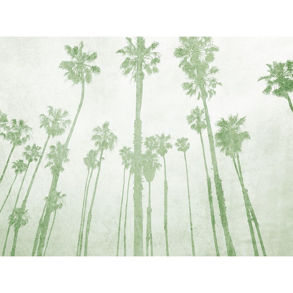 Palms On Beach II Poster Print - Irena Orlov-VARPDXOR535A Image 1