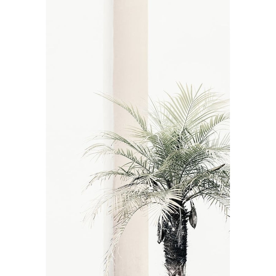 Studio III - Palm Tree Poster Print - Studio III-VARPDXOX399A Image 1