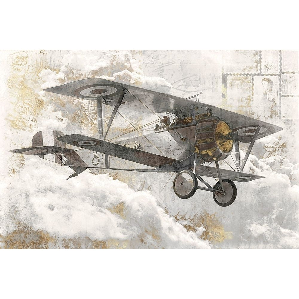 Airplane I Poster Print by Roozbeh Roozbeh-VARPDXOZ014A Image 1