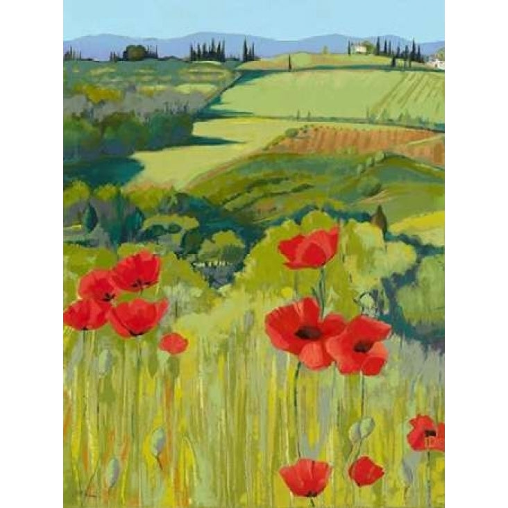 Field of Poppies Poster Print by Jane Henry Parsons-VARPDXP1003D Image 1