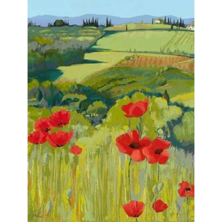 Field of Poppies Poster Print by Jane Henry Parsons-VARPDXP1003D Image 2