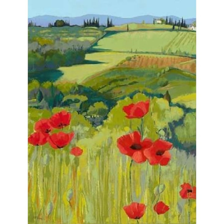 Field of Poppies Poster Print by Jane Henry Parsons-VARPDXP1003D Image 1