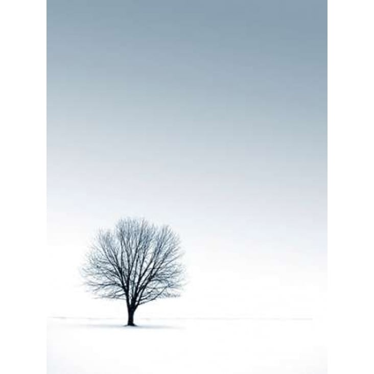 Tree in Winterscape Poster Print by PhotoINC Studio-VARPDXP949D Image 1