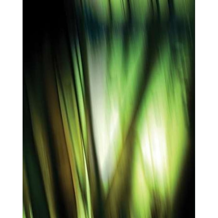 Organic I Poster Print by PI Studio-VARPDXPA069A Image 2