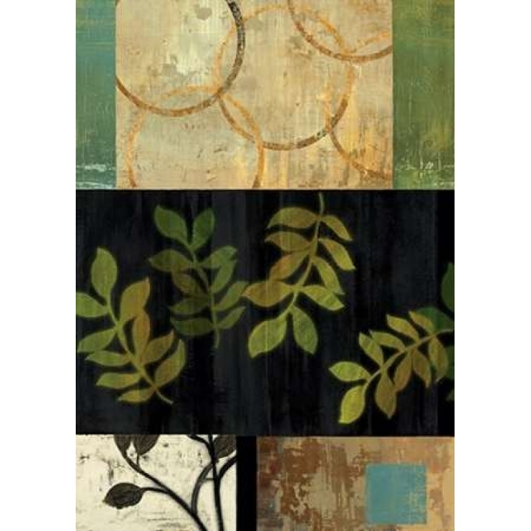 Leaves of Green I Poster Print by PI Studio-VARPDXPA173A Image 1