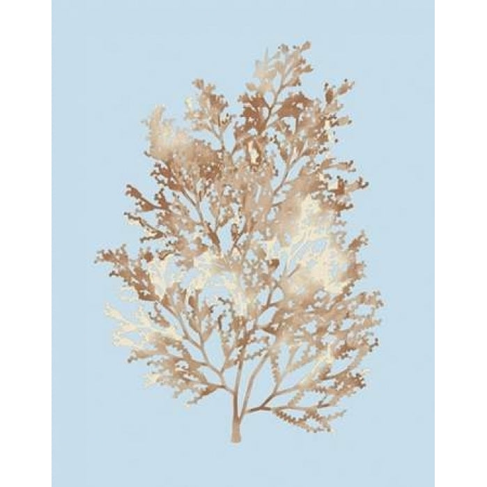 Coral III Poster Print by PI Studio-VARPDXPA291A Image 1