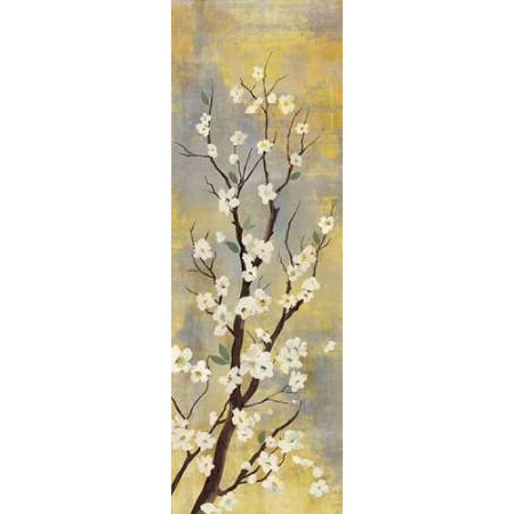 Blossoms I Poster Print by PI Studio-VARPDXPA511A Image 1